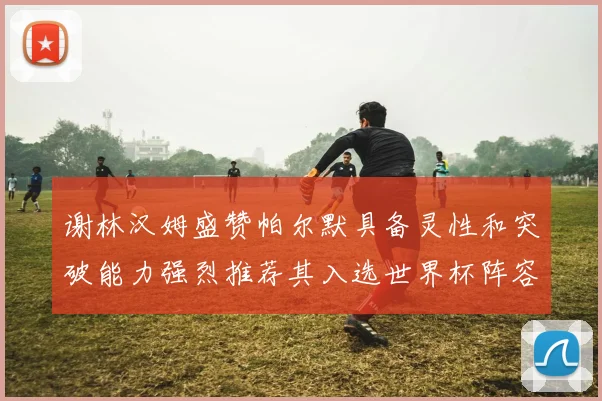 谢林汉姆盛赞帕尔默具备灵性和突破能力强烈推荐其入选世界杯阵容